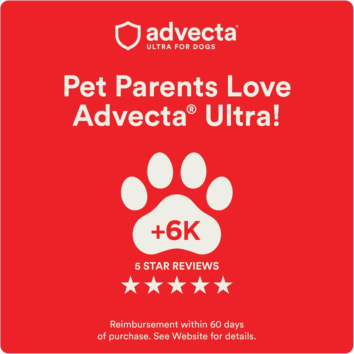 Advecta Ultra dog flea treatment four doses blister pack