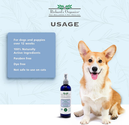 SynergyLabs natural dog care flea treatment bottle
