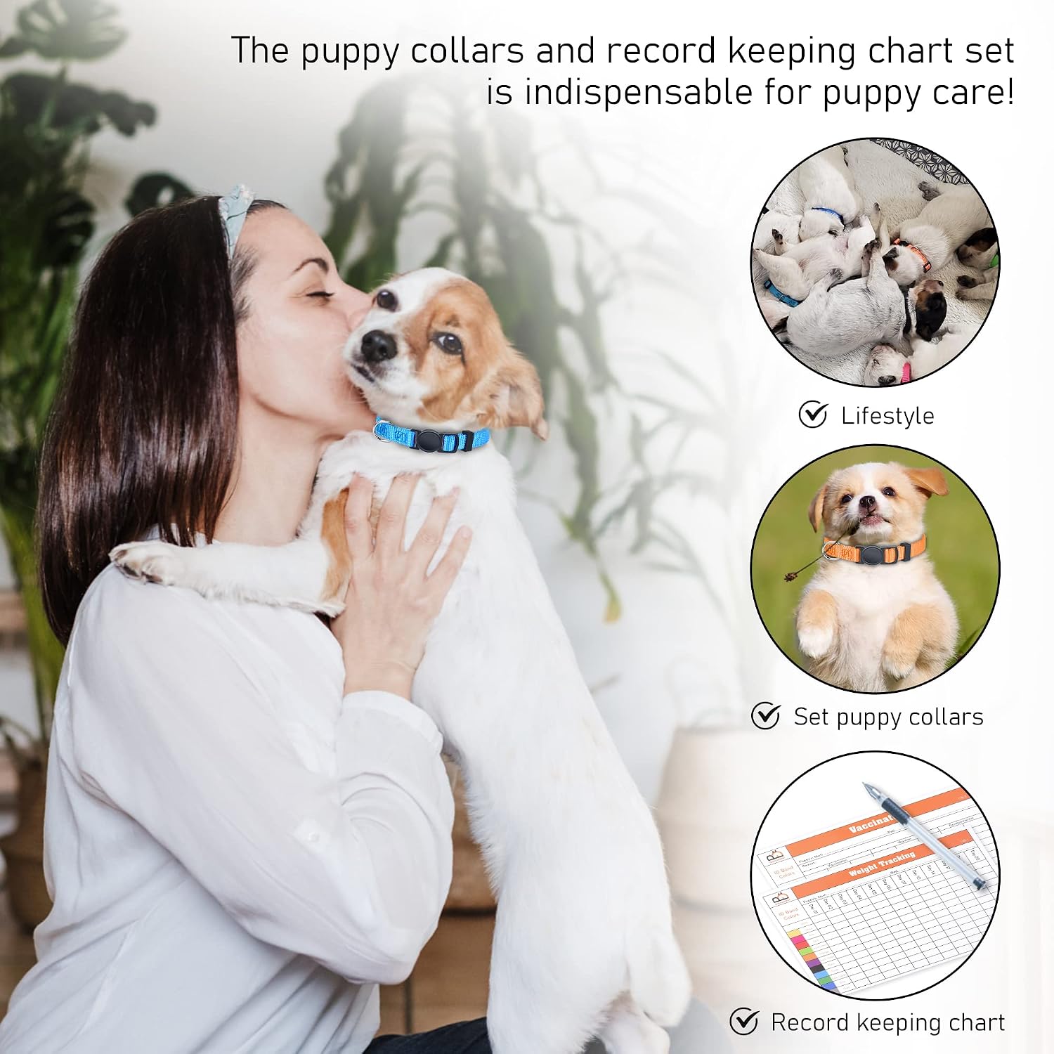 GAMUDA puppy collar with health charts