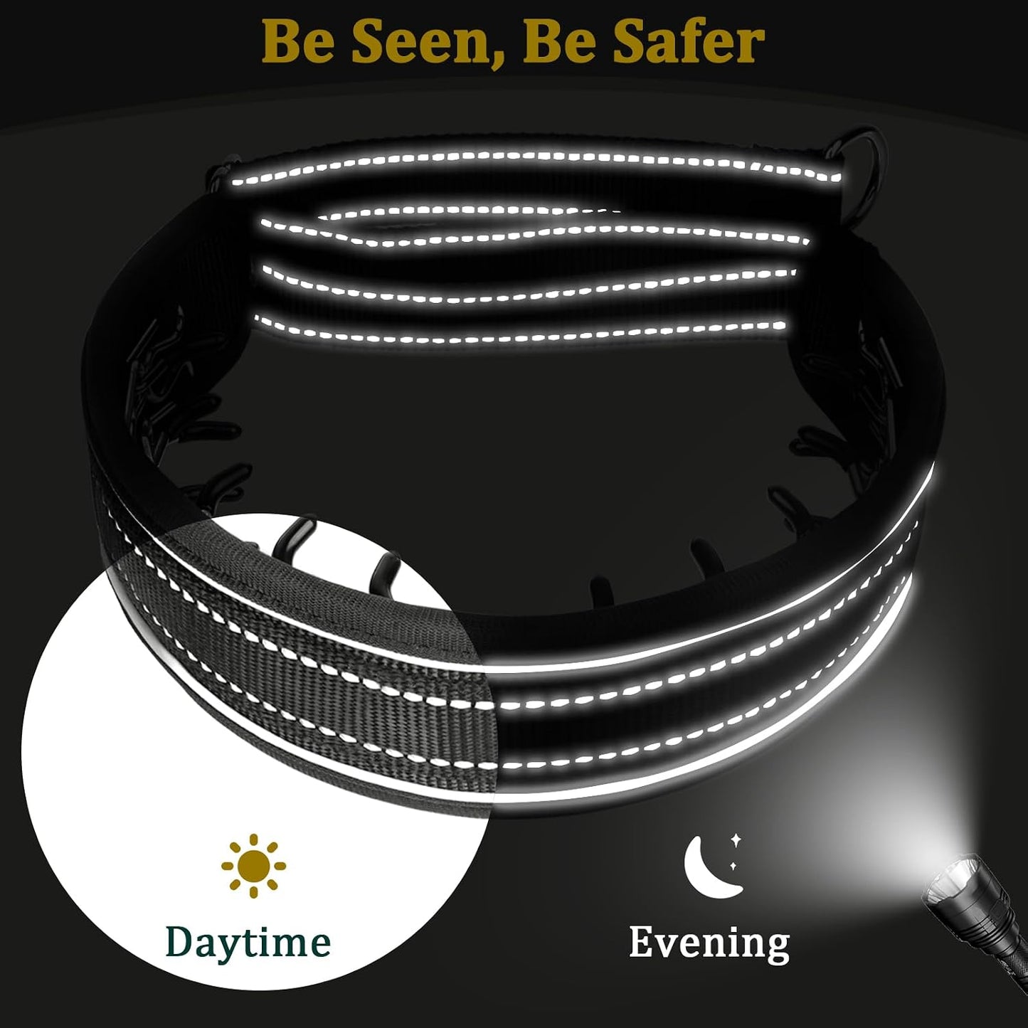 Mayerzon reflective dog training collar demonstrating early morning visibility under low light.