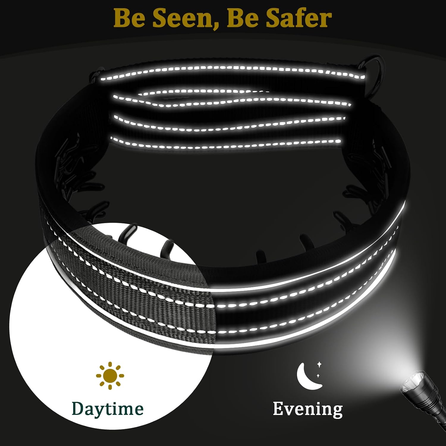 Mayerzon reflective dog training collar demonstrating early morning visibility under low light.