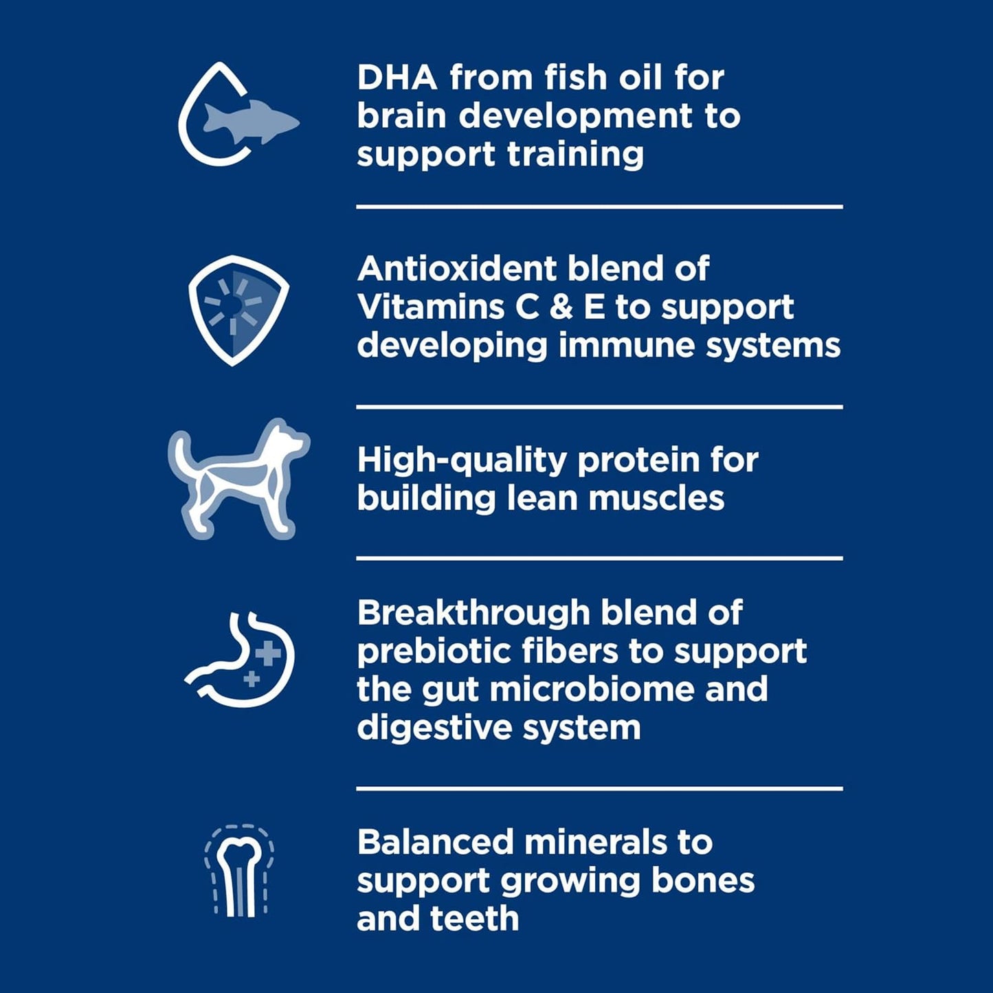 Hill's Science Diet puppy food featuring five essential health building blocks