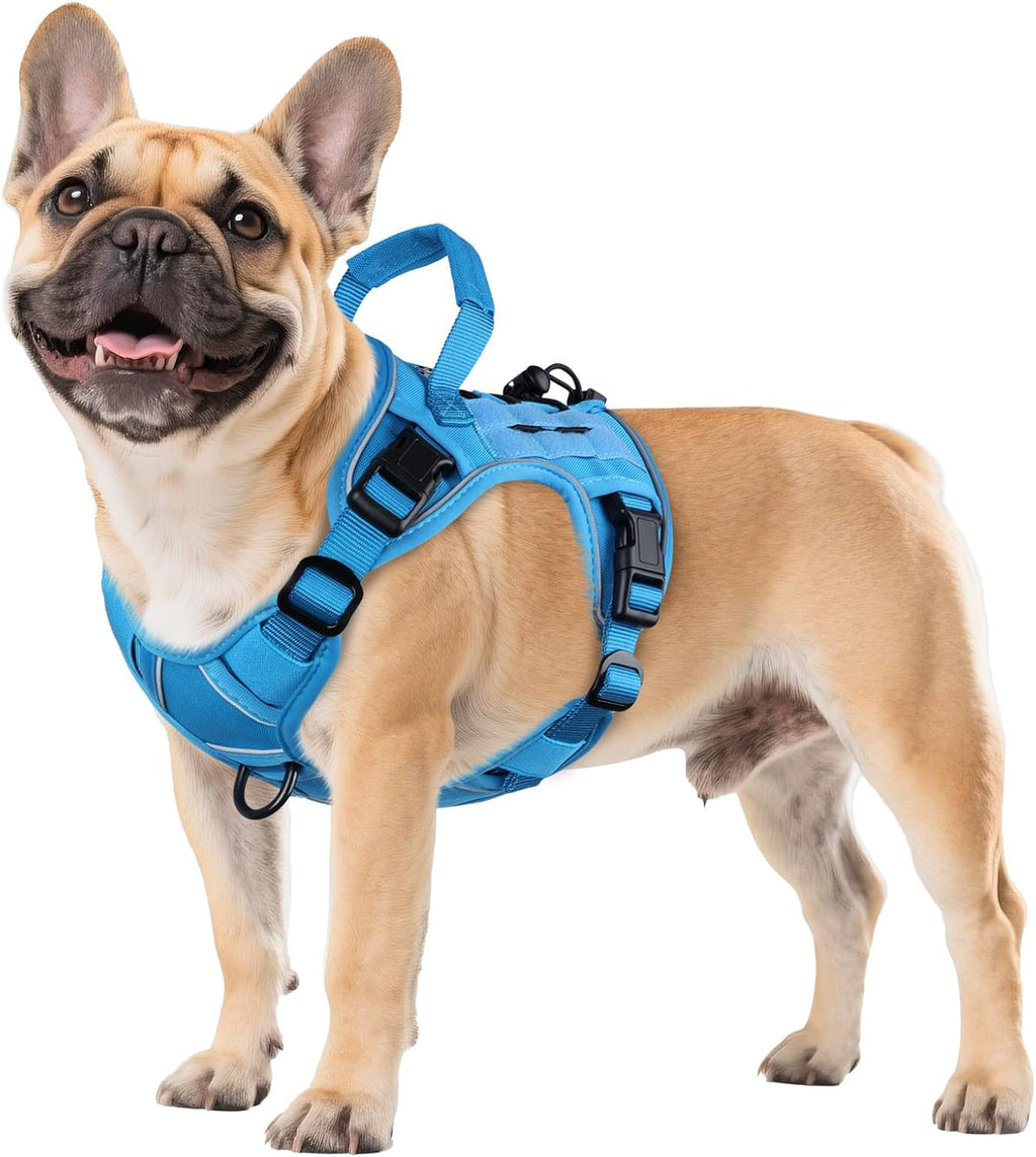 WINGOIN green tactical pet harness with PALS webbing attachment points