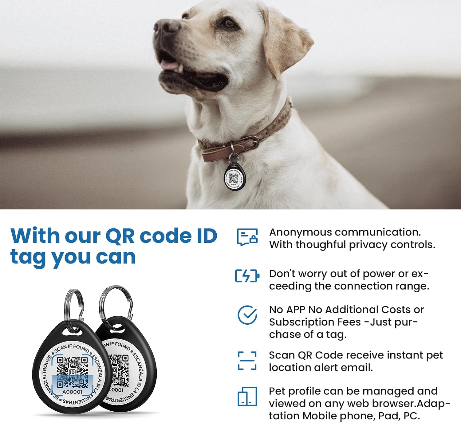Email notification alert sample showing the location map received when the pet tag is scanned.