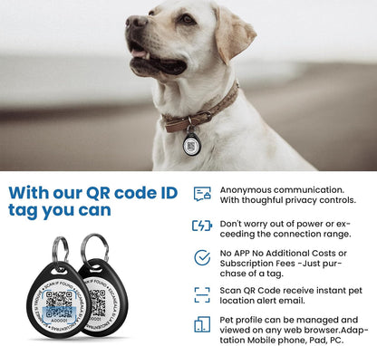 Email notification alert sample showing the location map received when the pet tag is scanned.