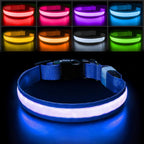 PcEoTllar Light up Dog Collar for Night Walking - LED Dog Collar Light Rechargeable Color Changing, Glow in the Dark Dog Collars Waterproof Glowing Dog Collars for Large Small Medium Dogs - Image 14