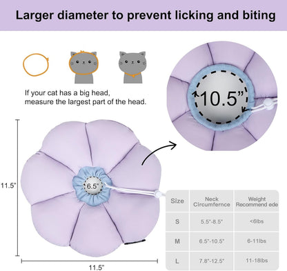 Lightweight kitten wound healing neck cone showing comfortable feeding position