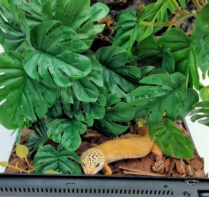 Close up of reptile habitat decor hanging plant detail
