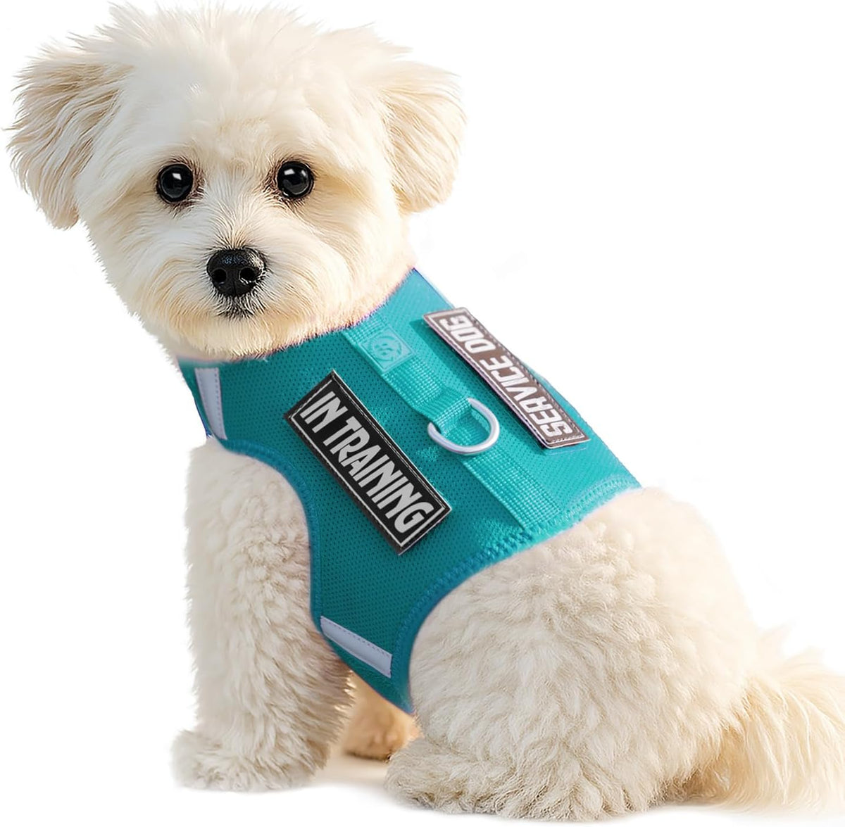 Sunraymascota puppy dog harness front view in marrs green mesh vest style