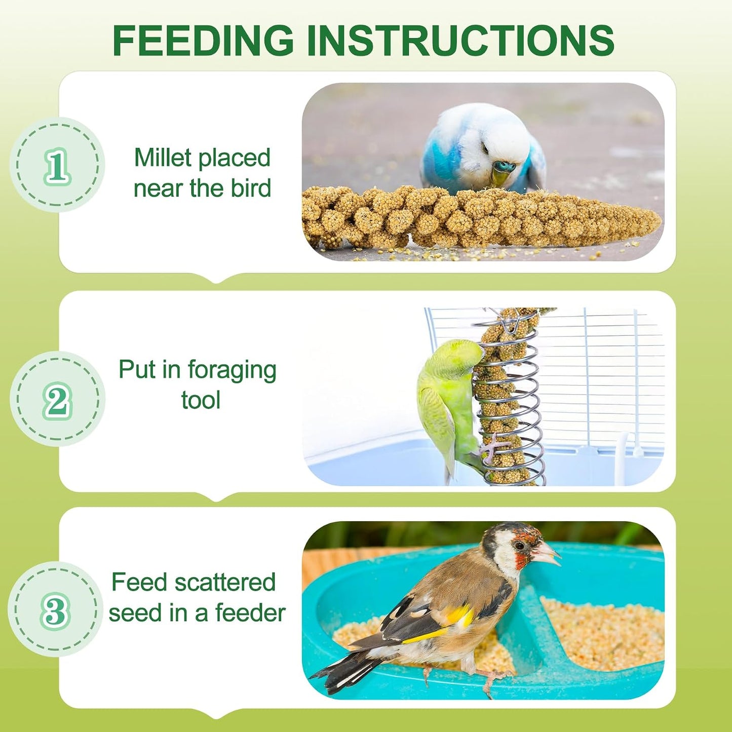 Cockatiel interacting with hanging millet spray treat