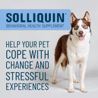 Solliquin dog anxiety relief soft chews ingredient list and nutritional facts.