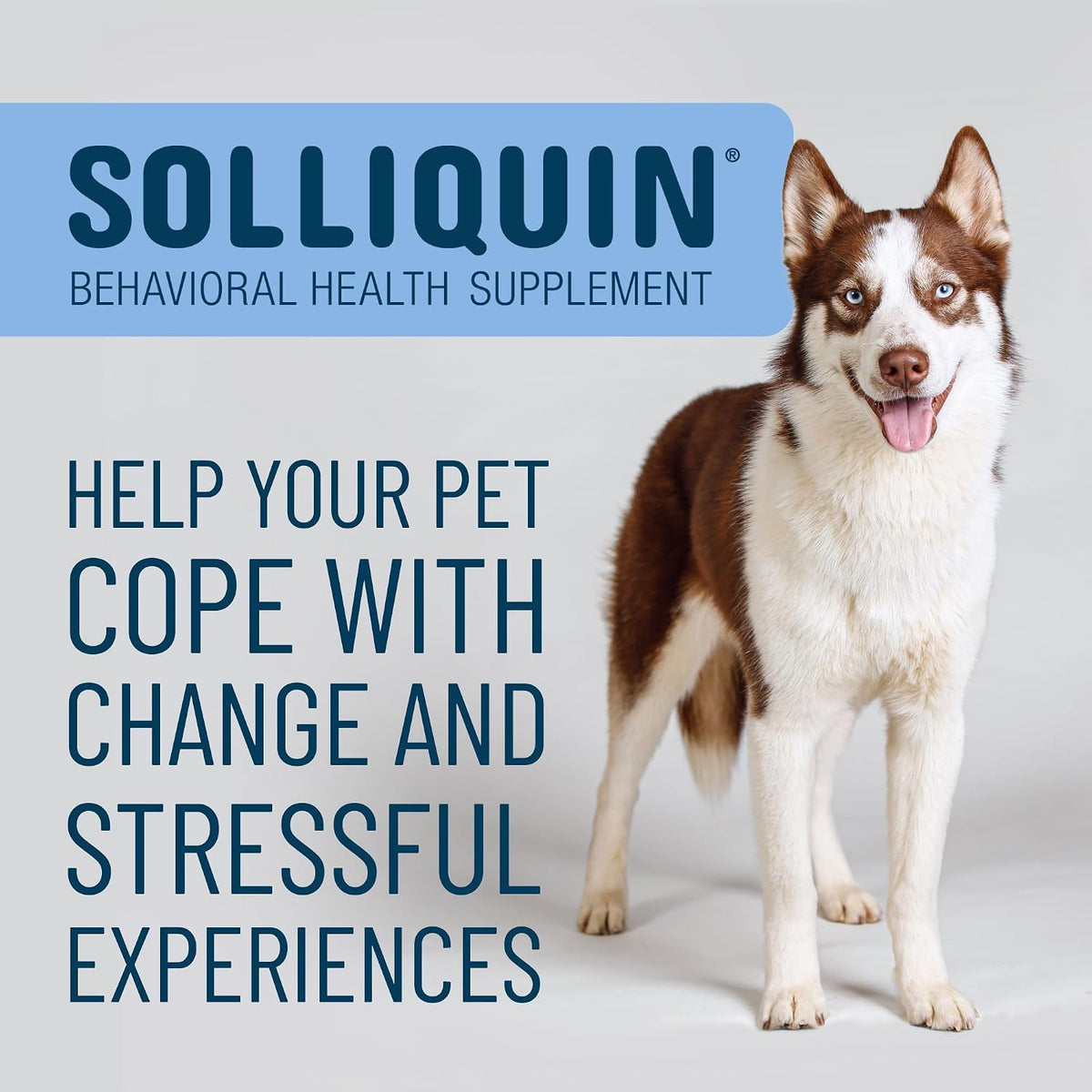Solliquin dog anxiety relief soft chews ingredient list and nutritional facts.