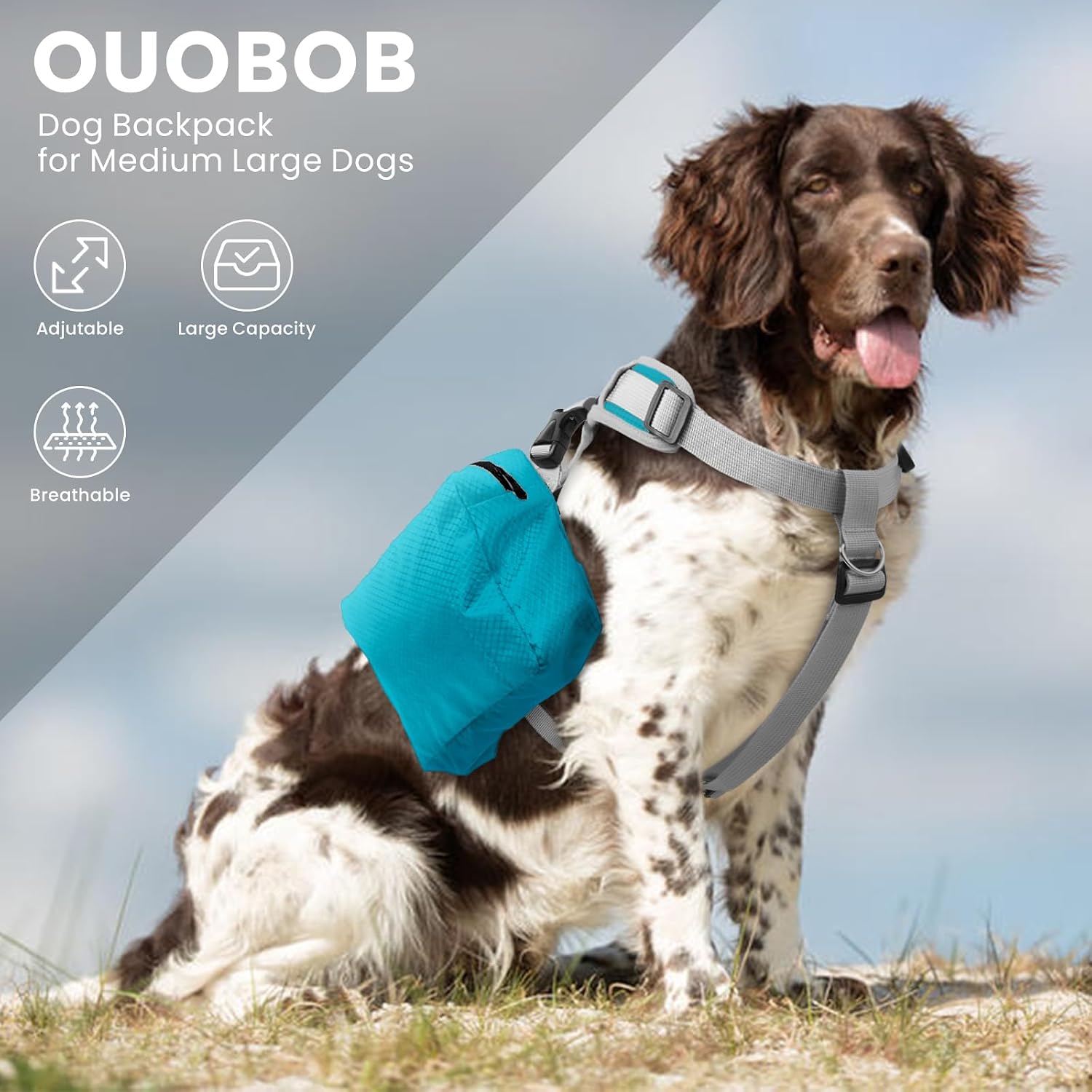 OUOBOB dog hiking pack worn by a medium sized Border Collie on an outdoor trail