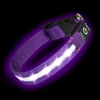 Super Bright LED Dog Collar - Fully Waterproof & Adjustable Glow Collar - USB-C Rechargeable for Night Walking, Safety - Flashing Lighted Collar for Dogs(Green,Medium) - Image 11
