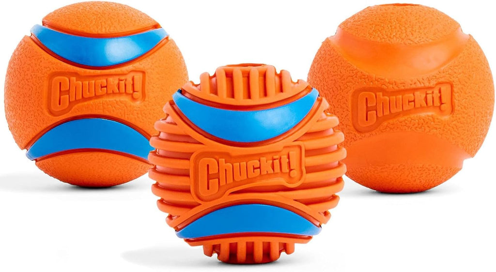 Dog playing with Chuckit! interactive fetch ball