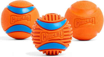 Dog playing with Chuckit! interactive fetch ball