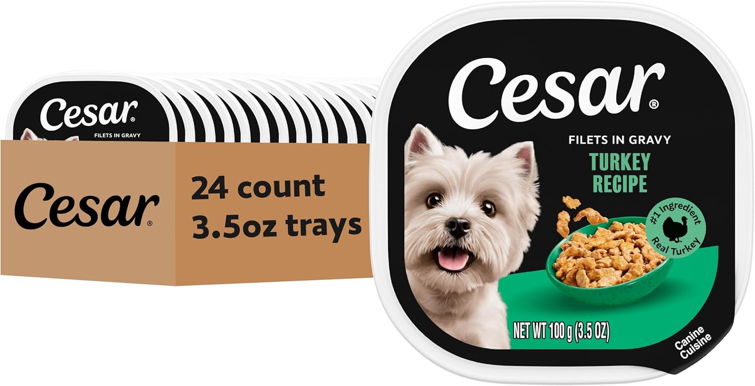 Cesar Filets in Gravy Adult Wet Dog Food Filet Mignon Flavor, 3.5 oz. Easy Peel Dog Food Tray, 24 Count (Pack of 1) - Image 15