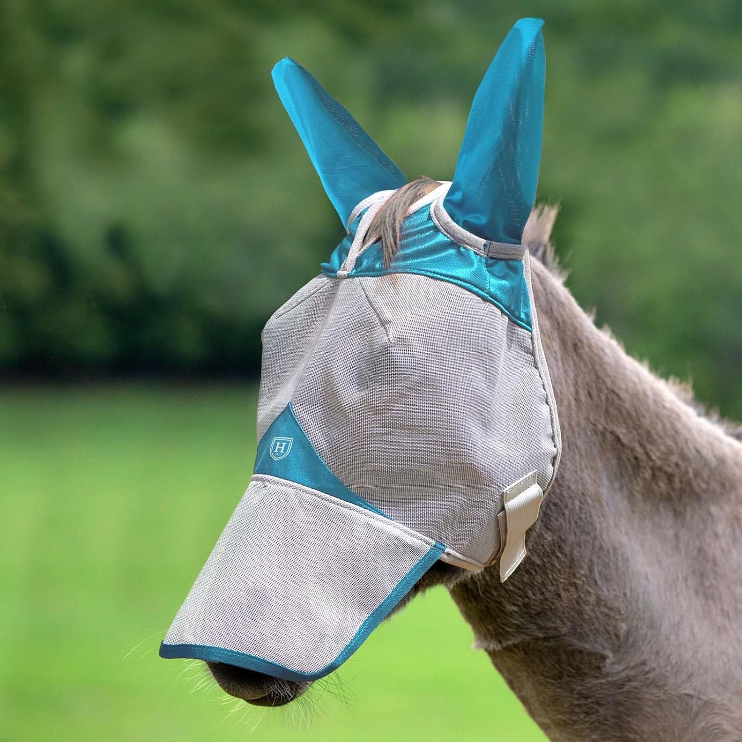 Harrison Howard fly mask nose panel detail for insect protection