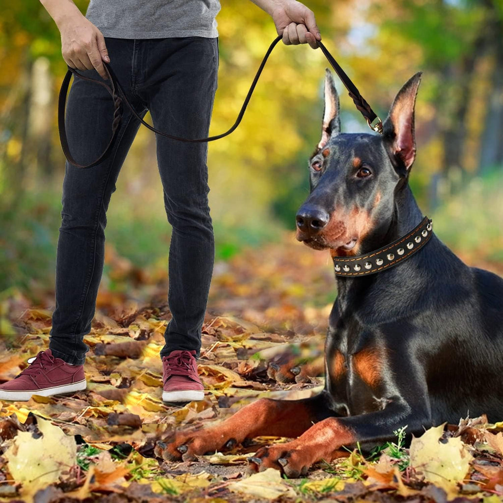 LWBMG real leather dog lead showcasing the high tensile strength brass hardware.