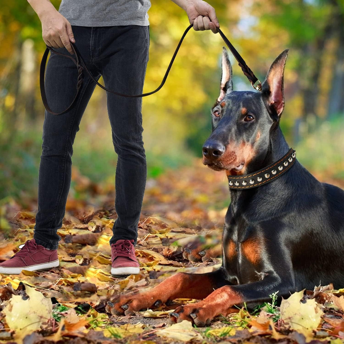 LWBMG real leather dog lead showcasing the high tensile strength brass hardware.