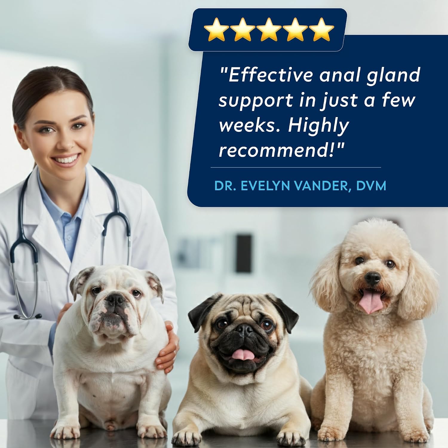 STRELLALAB 120 count anal gland support soft treat container for dog gut health