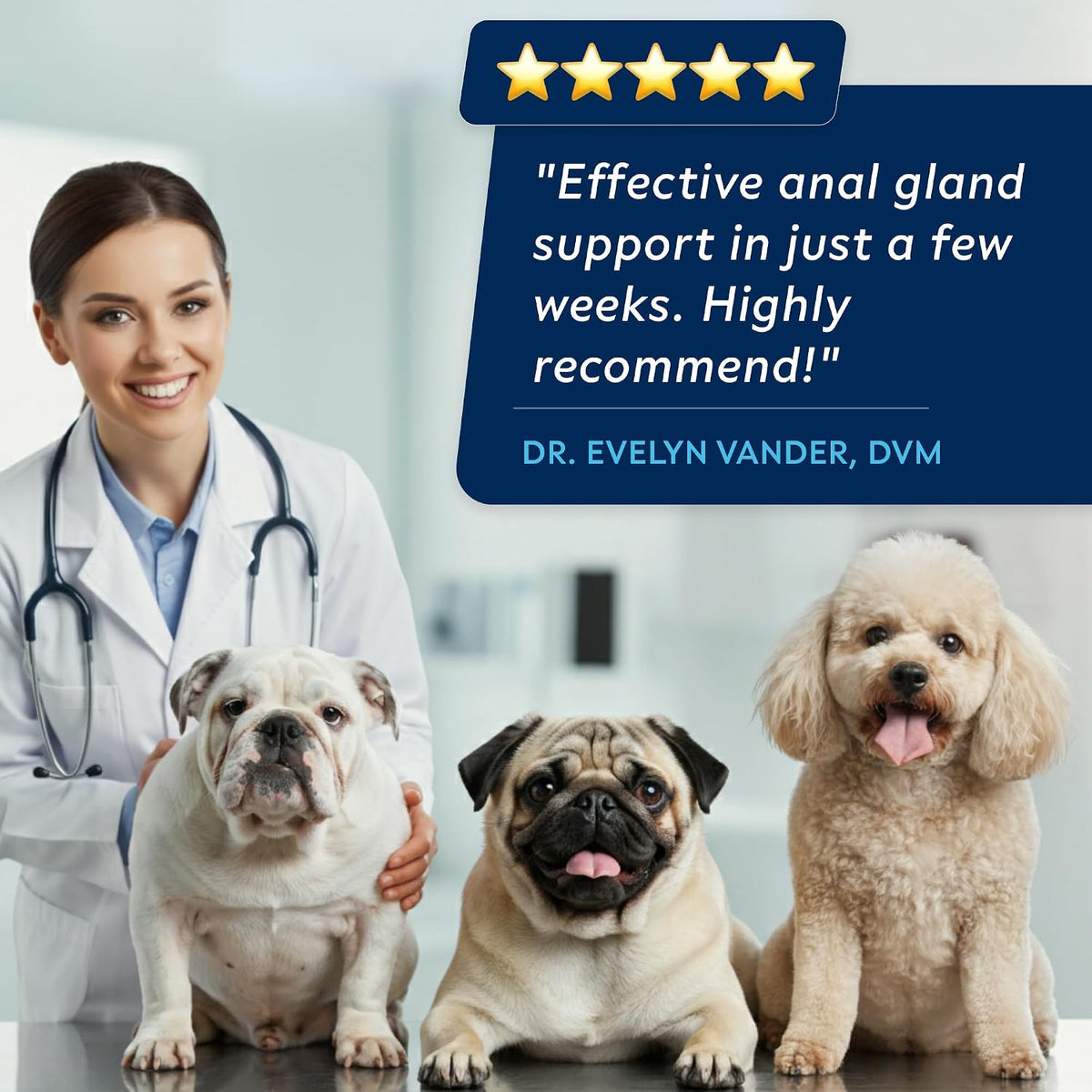 STRELLALAB 120 count anal gland support soft treat container for dog gut health