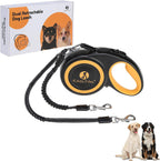 Two dogs walking with Kooltail dual retractable leash