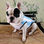 Cat wearing lightweight summer pet sports vest
