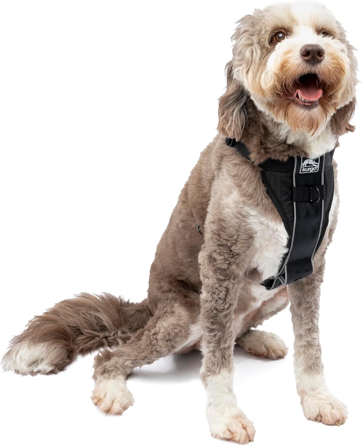 Kurgo Tru-Fit Smart Dog Harness front view black