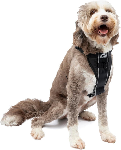 Kurgo Tru-Fit Smart Dog Harness front view black