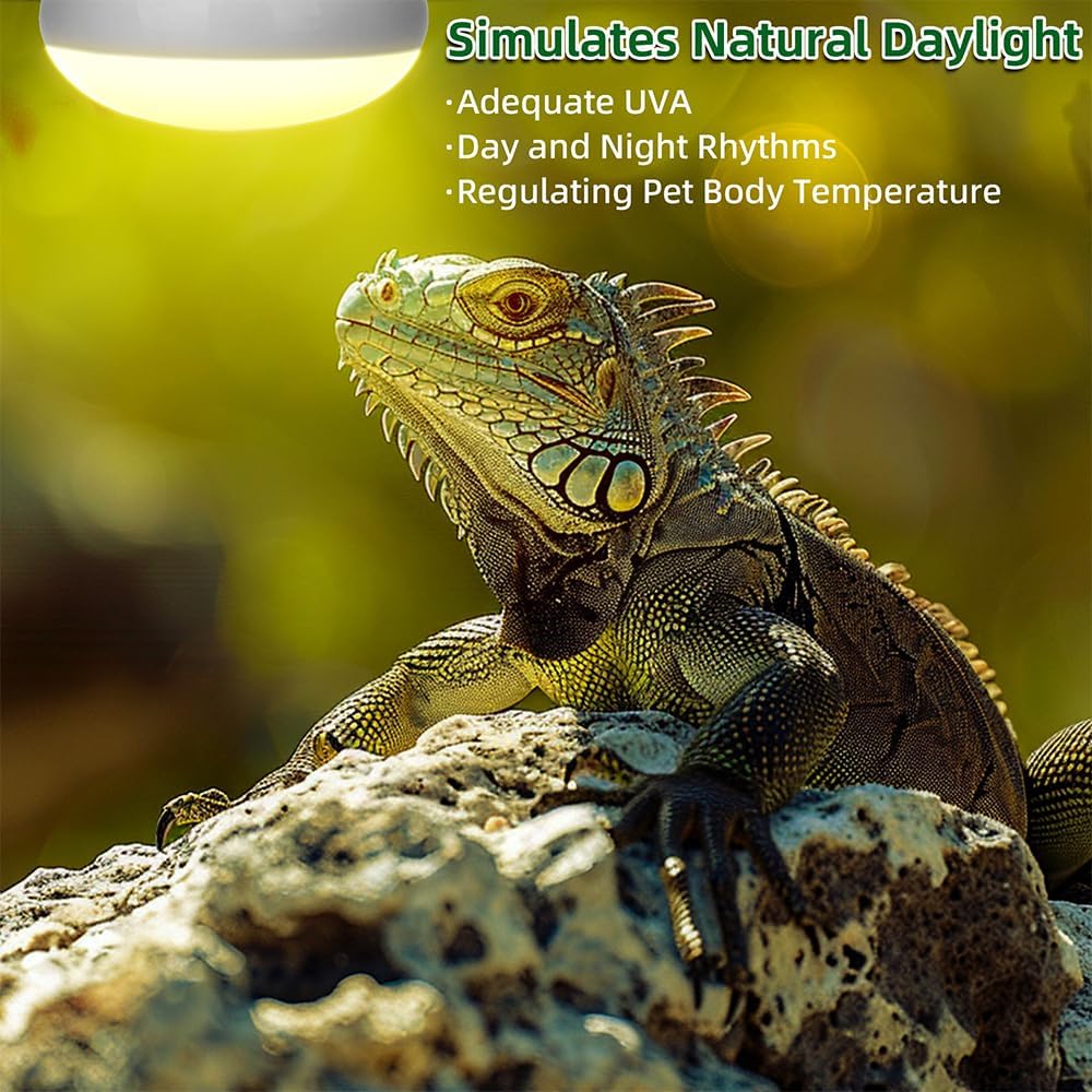 Two pack of DaToo one hundred watt reptile amphibians basking light bulbs