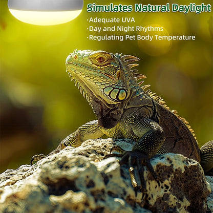 Two pack of DaToo one hundred watt reptile amphibians basking light bulbs
