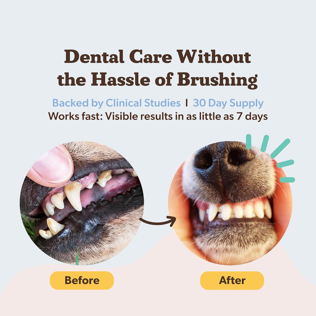 Natural Dog Company no-brush teeth cleaning powder food topper for plaque and tartar support