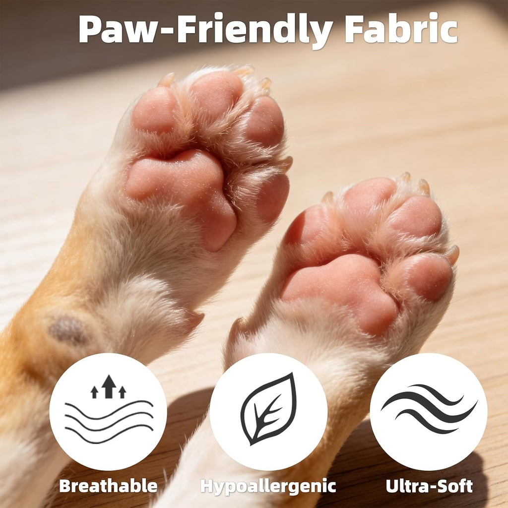 Nesayver paw protector socks for senior dog mobility