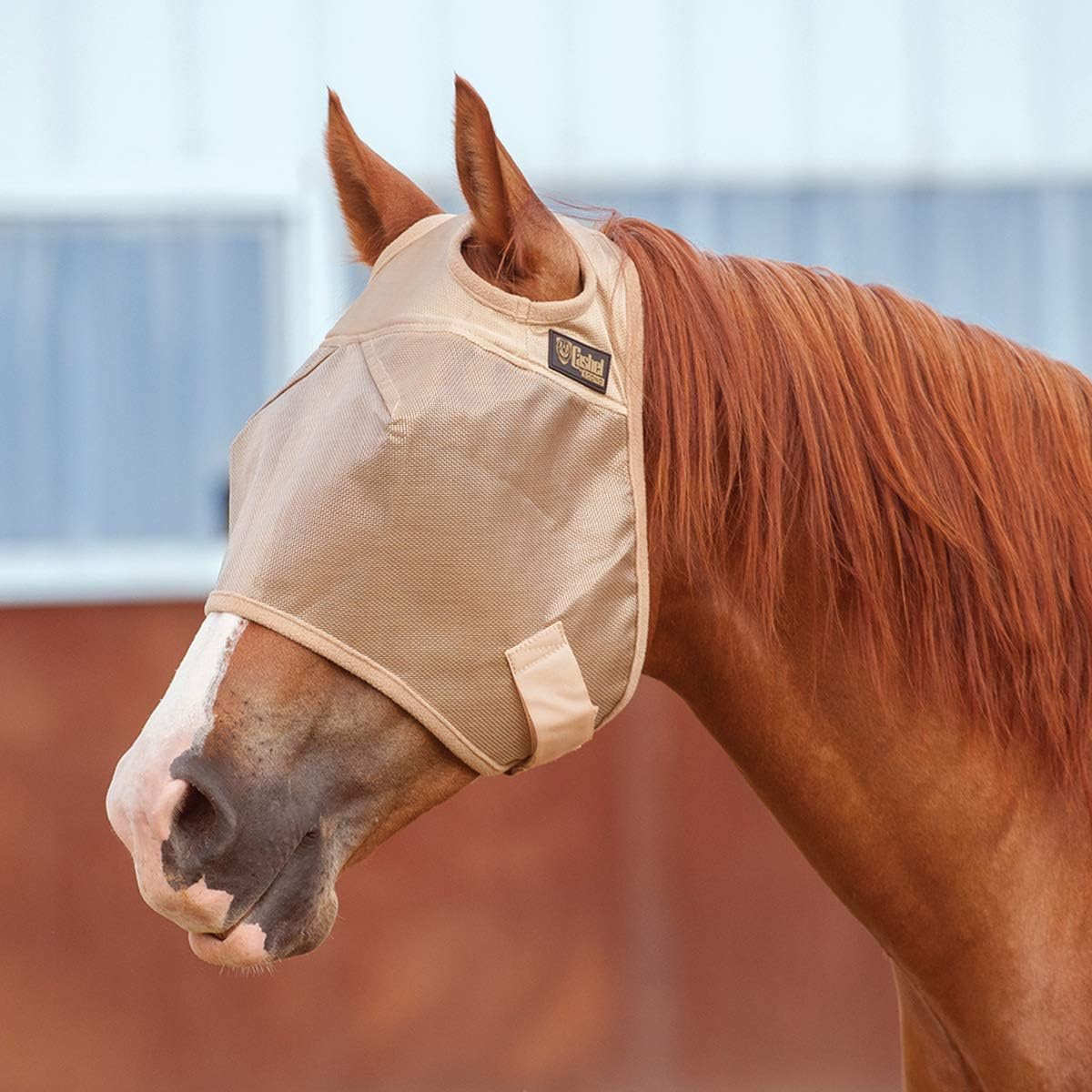 Close up of Cashel Econo fly mask mesh and eye darts