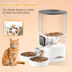 Automatic pet feeder with camera night vision active monitoring display.