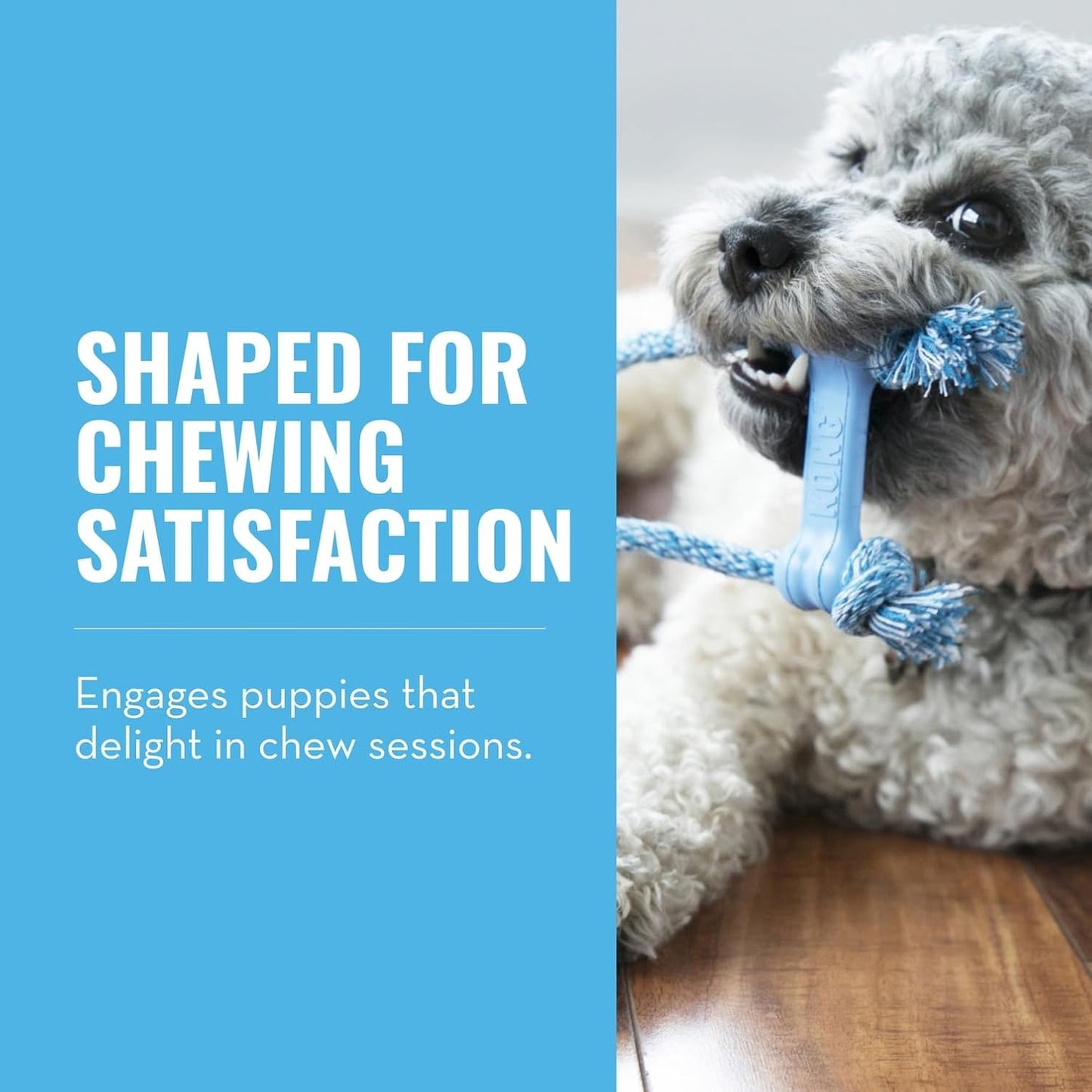 KONG puppy rubber bone with cotton rope for extra small dogs