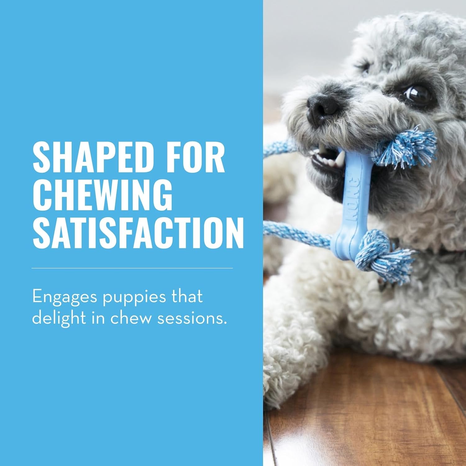 KONG puppy rubber bone with cotton rope for extra small dogs