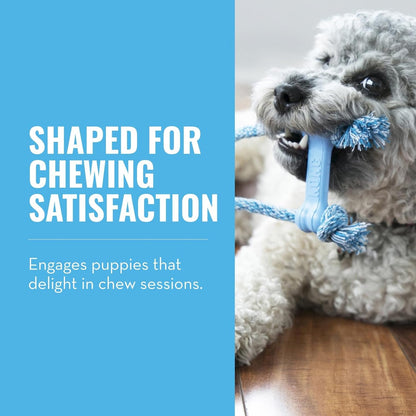 KONG puppy rubber bone with cotton rope for extra small dogs