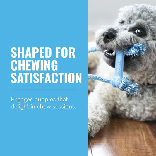KONG puppy rubber bone with cotton rope for extra small dogs