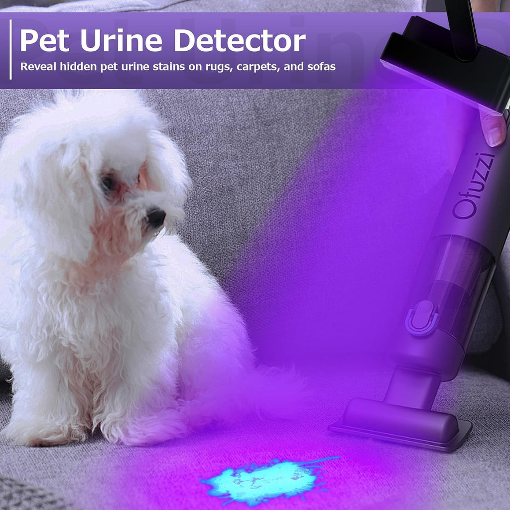 Benss 60W UV torch detecting dried pet urine stains on a living room carpet.