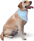 Vercosee baby announcement pet neckerchief adjustable collar strap closeup
