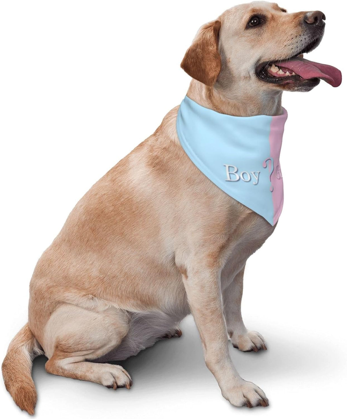 Vercosee baby announcement pet neckerchief adjustable collar strap closeup