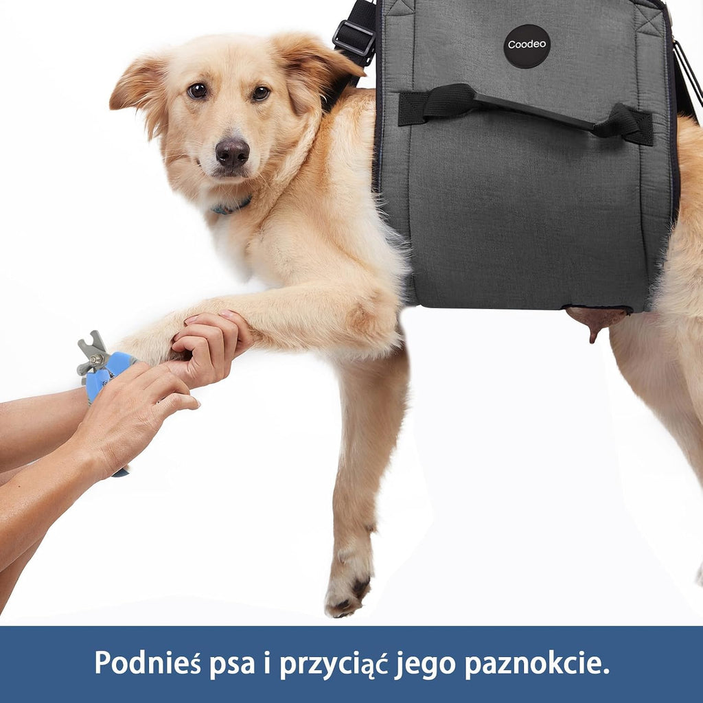 Coodeo dog harness for safe stair navigation