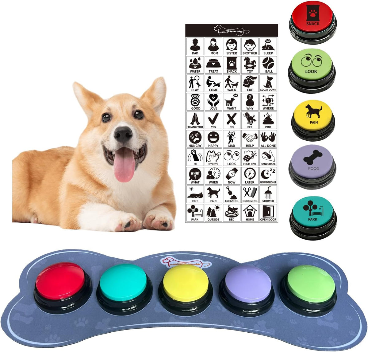 KiViRap color dog buttons with rubber mat front view for interactive pet communication training.