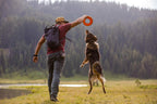 Active dog catching orange Ruffwear fetch toy in mid-air