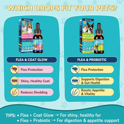 Woyamay Flea Defense + Skin & Coat Support, Natural Flea and Tick Prevention for Dogs & Cats, Dog & Cat Flea Treatment with Pumpkin Seed & Omega-3/6/9, Flea Drops for All Breeds & Ages, Chicken Flavor - Image 9