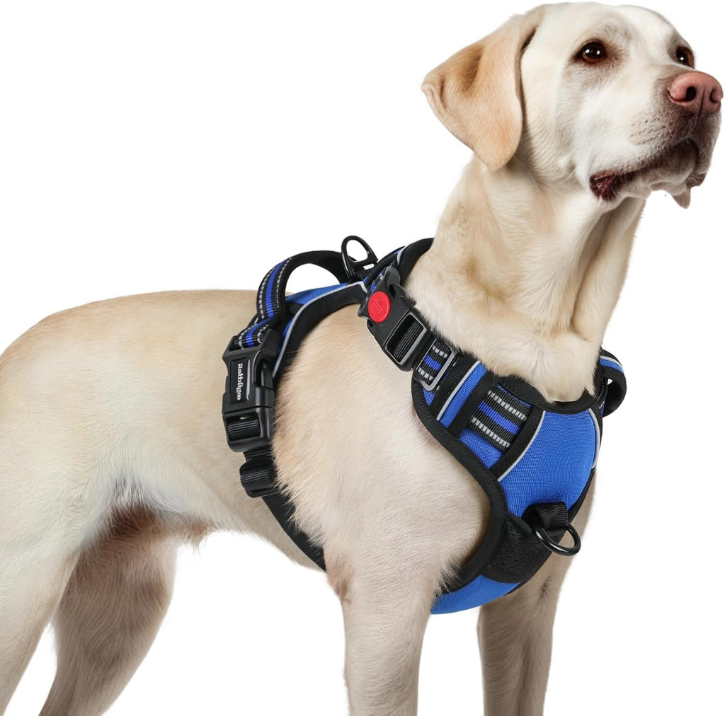 Rabbitgoo no pull dog harness large front view in blue color