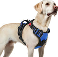 Rabbitgoo no pull dog harness large front view in blue color