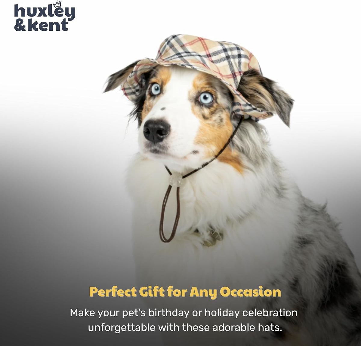 Huxley & Kent Pet Hat - Fun Hat for Dogs & Cats - Cute, Comfortable and Fun - SnugFit Strings for Best Fit - Bucket Hat High Street Plaid, Medium - Image 9